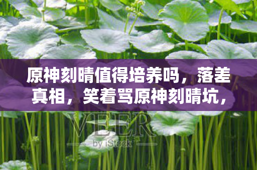 原神刻晴值得培养吗，落差真相，笑着骂原神刻晴坑，笑着笑着哭了——我终究还是离不开