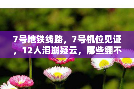 7号地铁线路,7号机位见证,12人泪崩疑云,那些绷不住的网吧深夜 7号地铁线路,7号机位见证,12人泪崩疑云,那些绷不住的网吧深夜