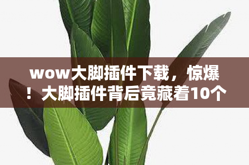 wow大脚插件下载,惊爆!大脚插件背后竟藏着10个让百万玩家泪目的隐藏设计 wow大脚插件下载,惊爆!大脚插件背后竟藏着10个让百万玩家泪目的隐藏设计