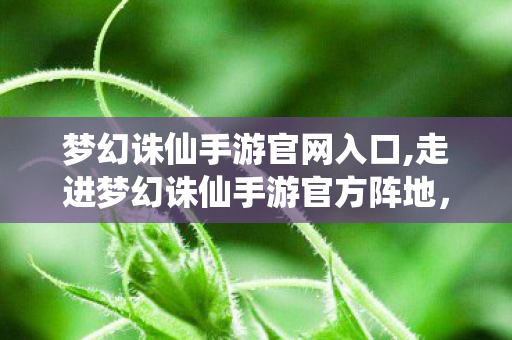 梦幻诛仙手游官网入口,走进梦幻诛仙手游官方阵地,畅享原汁原味的回合仙侠乐趣 梦幻诛仙手游官网入口,走进梦幻诛仙手游官方阵地,畅享原汁原味的回合仙侠乐趣