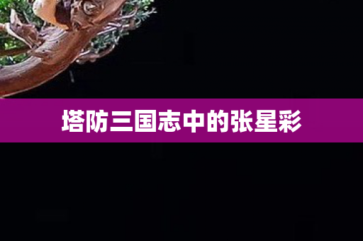 塔防三国志中的张星彩图片