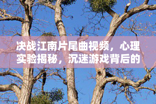 决战江南片尾曲视频,心理实验揭秘,沉迷游戏背后的细思极恐自我麻醉真相 决战江南片尾曲视频,心理实验揭秘,沉迷游戏背后的细思极恐自我麻醉真相