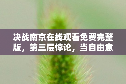 决战南京在线观看免费完整版,第三层悖论,当自由意志成为命运枷锁的灵魂震颤 决战南京在线观看免费完整版,第三层悖论,当自由意志成为命运枷锁的灵魂震颤
