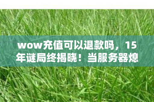 wow充值可以退款吗,15年谜局终揭晓!当服务器熄灭时,谁在数据坟场里泪目? wow充值可以退款吗,15年谜局终揭晓!当服务器熄灭时,谁在数据坟场里泪目?