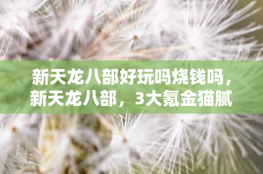 新天龙八部好玩吗烧钱吗,新天龙八部,3大氪金猫腻+5个伪创新,这波上头操作我直接笑出鹅叫 新天龙八部好玩吗烧钱吗,新天龙八部,3大氪金猫腻+5个伪创新,这波上头操作我直接笑出鹅叫