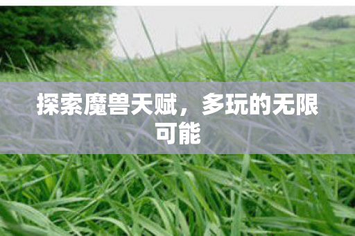 多玩的无限可能图片