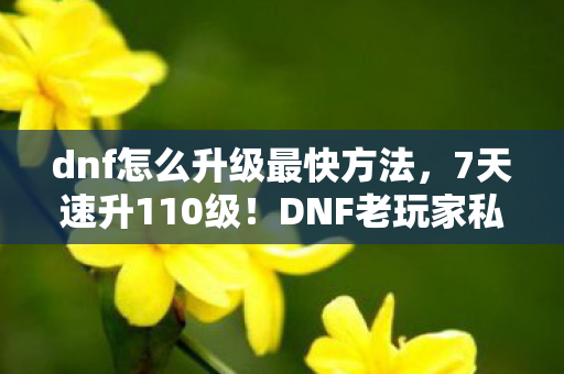 dnf怎么升级最快方法,7天速升110级!DNF老玩家私藏心得+避坑指南大公开 dnf怎么升级最快方法,7天速升110级!DNF老玩家私藏心得+避坑指南大公开