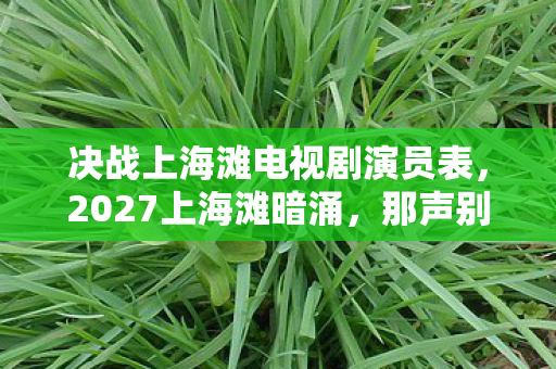 决战上海滩电视剧演员表,2027上海滩暗涌,那声别走成伏笔,今朝忆起鼻子一酸 决战上海滩电视剧演员表,2027上海滩暗涌,那声别走成伏笔,今朝忆起鼻子一酸