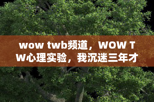 wow twb频道,WOW TW心理实验,我沉迷三年才惊觉,细思极恐的自我囚禁 wow twb频道,WOW TW心理实验,我沉迷三年才惊觉,细思极恐的自我囚禁