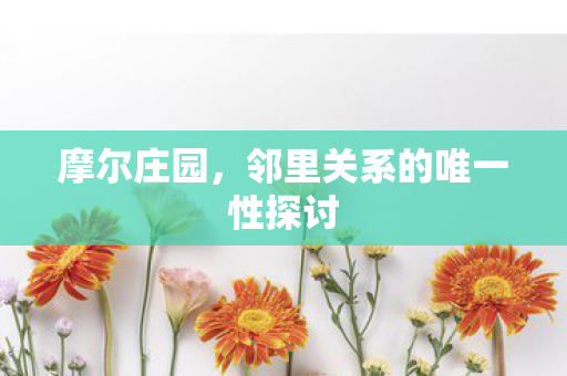 邻里关系的唯一性探讨图片