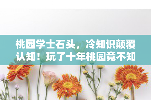 桃园学士石头,冷知识颠覆认知!玩了十年桃园竟不知燧石块藏着目瞪口呆的秘密 桃园学士石头,冷知识颠覆认知!玩了十年桃园竟不知燧石块藏着目瞪口呆的秘密