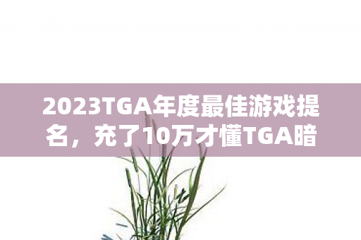 2023TGA年度最佳游戏提名,充了10万才懂TGA暗箱,我花掉首付的钱,买了堆被砍的‘空气皮肤’! 2023TGA年度最佳游戏提名,充了10万才懂TGA暗箱,我花掉首付的钱,买了堆被砍的‘空气皮肤’!
