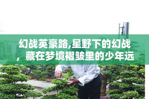 幻战英豪路,星野下的幻战,藏在梦境褶皱里的少年远征 幻战英豪路,星野下的幻战,藏在梦境褶皱里的少年远征