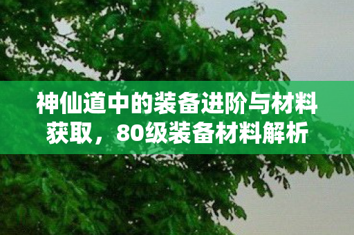 神仙道中的装备进阶与材料获取图片