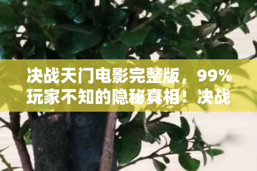 决战天门电影完整版，99%玩家不知的隐秘真相！决战天门里藏着多少扎心现实？