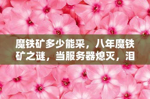 魔铁矿多少能采，八年魔铁矿之谜，当服务器熄灭，泪目竟是最后的宝藏