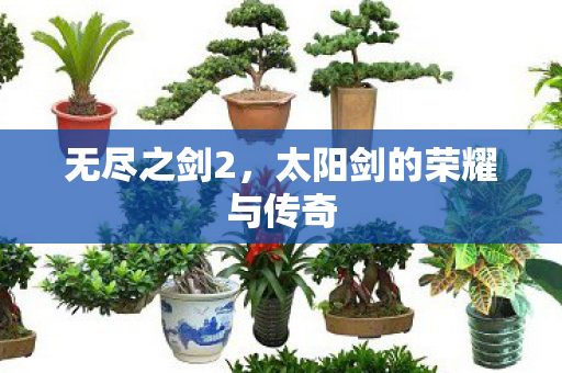 太阳剑的荣耀与传奇图片