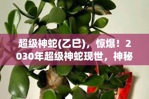 超级神蛇(乙巳),惊爆!2030年超级神蛇现世,神秘力量竟引发全球恐慌? 超级神蛇(乙巳),惊爆!2030年超级神蛇现世,神秘力量竟引发全球恐慌?
