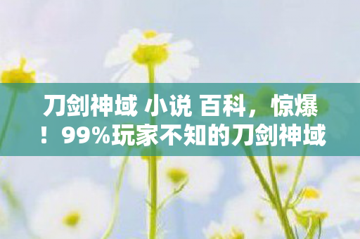 刀剑神域 小说 百科，惊爆！99%玩家不知的刀剑神域隐藏技巧，背后竟藏着生死抉择？