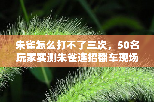 朱雀怎么打不了三次,50名玩家实测朱雀连招翻车现场!大神沉默萌新抓狂,这操作谁绷得住啊 朱雀怎么打不了三次,50名玩家实测朱雀连招翻车现场!大神沉默萌新抓狂,这操作谁绷得住啊