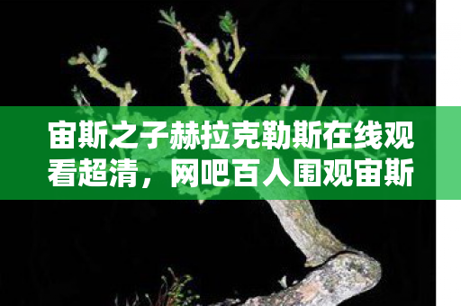 宙斯之子赫拉克勒斯在线观看超清，网吧百人围观宙斯之子高清免费？疑点重重，我绷不住泪洒当场！