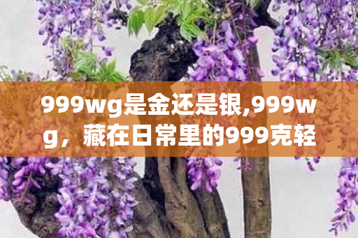 999wg是金还是银,999wg,藏在日常里的999克轻量化生活小确幸 999wg是金还是银,999wg,藏在日常里的999克轻量化生活小确幸