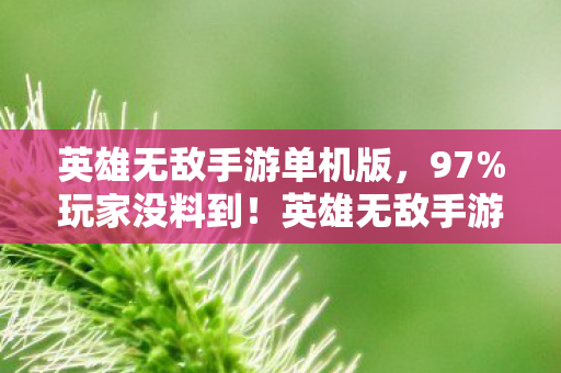 英雄无敌手游单机版,97%玩家没料到!英雄无敌手游/端游/主机操控竟差出银河系? 英雄无敌手游单机版,97%玩家没料到!英雄无敌手游/端游/主机操控竟差出银河系?
