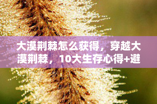 大漠荆棘怎么获得,穿越大漠荆棘,10大生存心得+避坑指南,助你安全探险! 大漠荆棘怎么获得,穿越大漠荆棘,10大生存心得+避坑指南,助你安全探险!