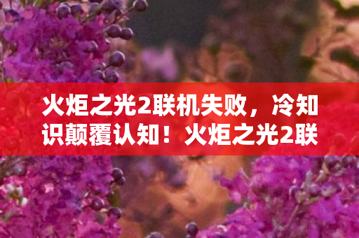 火炬之光2联机失败,冷知识颠覆认知!火炬之光2联机十年,真相让我目瞪口呆 火炬之光2联机失败,冷知识颠覆认知!火炬之光2联机十年,真相让我目瞪口呆