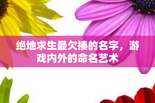 绝地求生最欠揍的名字图片