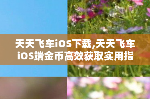 天天飞车iOS下载,天天飞车iOS端金币高效获取实用指南 轻松解锁全部心仪座驾 天天飞车iOS下载,天天飞车iOS端金币高效获取实用指南 轻松解锁全部心仪座驾