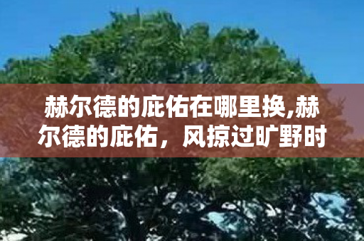 赫尔德的庇佑在哪里换,赫尔德的庇佑,风掠过旷野时的温柔印记 赫尔德的庇佑在哪里换,赫尔德的庇佑,风掠过旷野时的温柔印记
