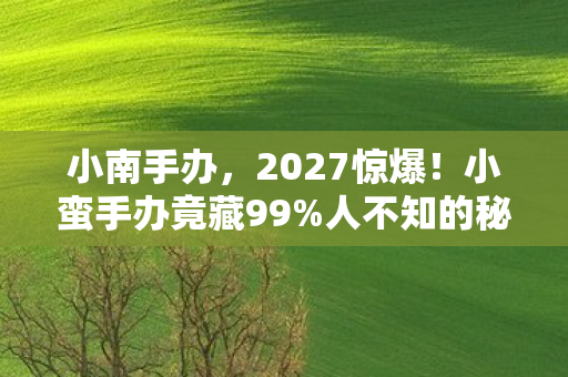 小南手办，2027惊爆！小蛮手办竟藏99%人不知的秘密，体验后我彻底破防！
