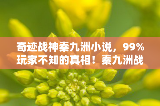 奇迹战神秦九洲小说，99%玩家不知的真相！秦九洲战神之谜，竟让百万玩家心碎退场？