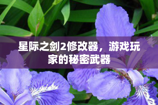 游戏玩家的秘密武器图片