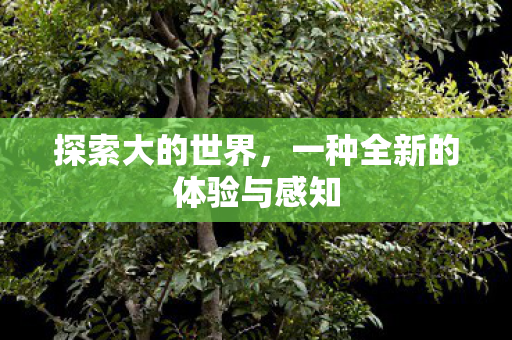 一种全新的体验与感知图片