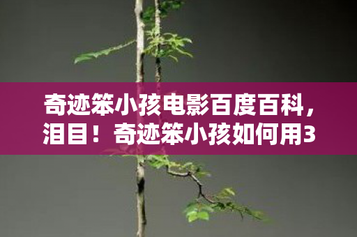 奇迹笨小孩电影百度百科,泪目!奇迹笨小孩如何用3年逆袭人生?背后真相太戳心! 奇迹笨小孩电影百度百科,泪目!奇迹笨小孩如何用3年逆袭人生?背后真相太戳心!