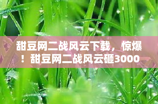 甜豆网二战风云下载,惊爆!甜豆网二战风云砸3000万玩法被砍,背后隐情让人吓一跳! 甜豆网二战风云下载,惊爆!甜豆网二战风云砸3000万玩法被砍,背后隐情让人吓一跳!