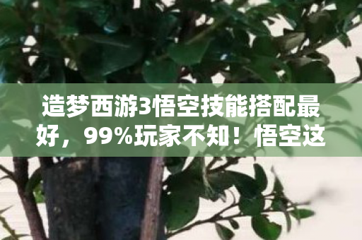 造梦西游3悟空技能搭配最好，99%玩家不知！悟空这3招逆天搭配，竟让BOSS血条瞬间消失术！