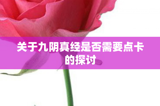 关于九阴真经是否需要点卡的探讨图片