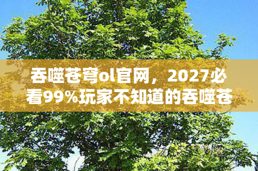 吞噬苍穹ol官网,2027必看99%玩家不知道的吞噬苍穹ol3大革新体验,错过血亏! 吞噬苍穹ol官网,2027必看99%玩家不知道的吞噬苍穹ol3大革新体验,错过血亏!