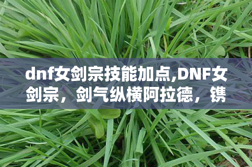 dnf女剑宗技能加点,DNF女剑宗,剑气纵横阿拉德,镌刻十年的剑者浪漫 dnf女剑宗技能加点,DNF女剑宗,剑气纵横阿拉德,镌刻十年的剑者浪漫
