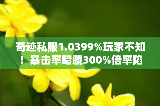 奇迹私服1.0399%玩家不知！暴击率暗藏300%倍率陷阱，策划连夜改代码！