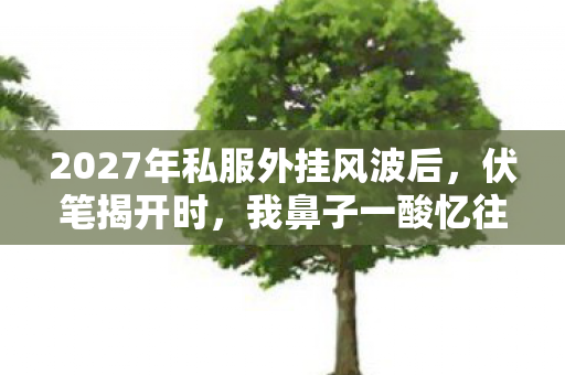 2027年私服外挂风波后,伏笔揭开时,我鼻子一酸忆往昔 2027年私服外挂风波后,伏笔揭开时,我鼻子一酸忆往昔