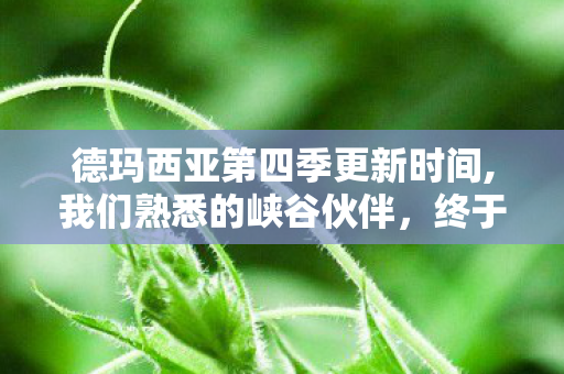 德玛西亚第四季更新时间,我们熟悉的峡谷伙伴，终于长大了