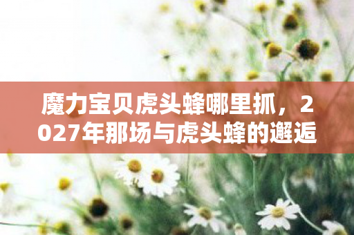 魔力宝贝虎头蜂哪里抓，2027年那场与虎头蜂的邂逅，伏笔成殇，如今想起鼻子一酸