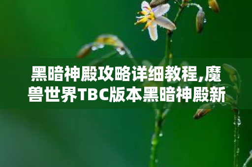 黑暗神殿攻略详细教程,魔兽世界TBC版本黑暗神殿新手向全流程通关攻略