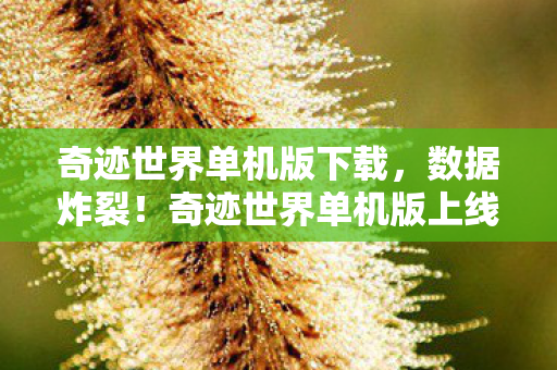 奇迹世界单机版下载，数据炸裂！奇迹世界单机版上线首周下载破500万，老玩家集体泪目，这波情怀杀太狠