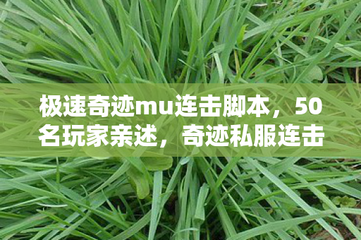 极速奇迹mu连击脚本，50名玩家亲述，奇迹私服连击脚本疑云，这操作真绷不住了！