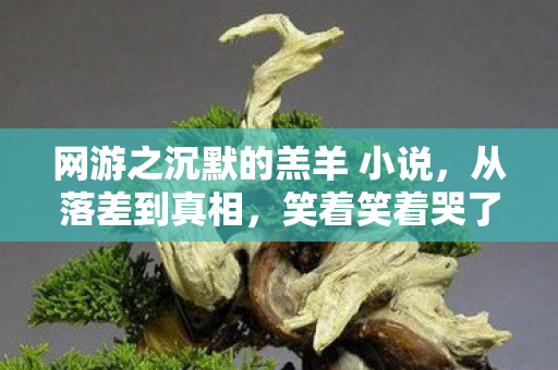 网游之沉默的羔羊 小说，从落差到真相，笑着笑着哭了，我终究还是那个骗子玩家